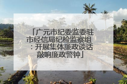 广元市纪委监委驻市经信局纪检监察组：开展集体廉政谈话 敲响廉政警钟