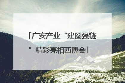 广安产业“建圈强链”精彩亮相西博会