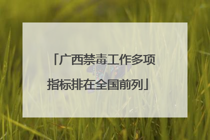 广西禁毒工作多项指标排在全国前列