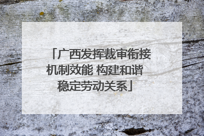 广西发挥裁审衔接机制效能 构建和谐稳定劳动关系