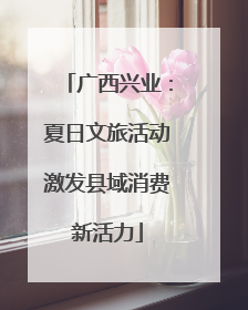 广西兴业：夏日文旅活动激发县域消费新活力
