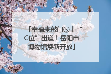 幸福来敲门⑤丨“C位”出道！岳阳市博物馆焕新开放