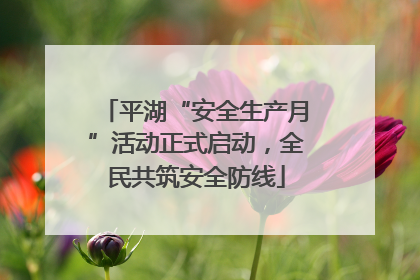 平湖“安全生产月”活动正式启动，全民共筑安全防线