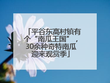 平谷东高村镇有个“南瓜王国”，30余种奇特南瓜迎来观赏季