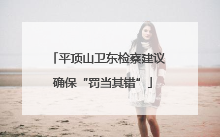 平顶山卫东检察建议确保“罚当其错”