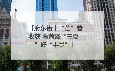 府东街丨“芒”着收获 看菏泽“三夏”好“丰景”