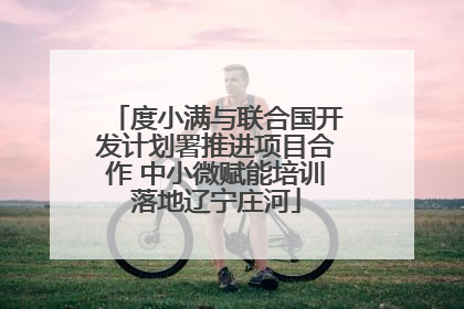 度小满与联合国开发计划署推进项目合作 中小微赋能培训落地辽宁庄河