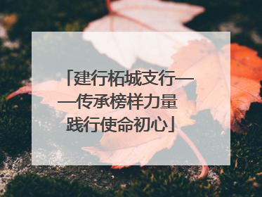 建行柘城支行——传承榜样力量 践行使命初心