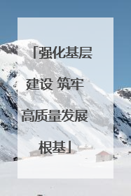 强化基层建设 筑牢高质量发展根基