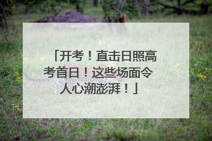开考！直击日照高考首日！这些场面令人心潮澎湃！
