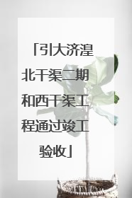 引大济湟北干渠二期和西干渠工程通过竣工验收
