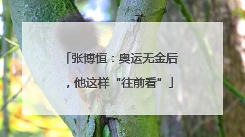 张博恒：奥运无金后，他这样“往前看”