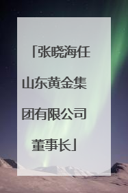 张晓海任山东黄金集团有限公司董事长
