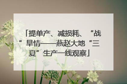 提单产、减损耗、“战”旱情——燕赵大地“三夏”生产一线观察