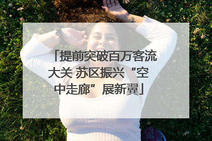 提前突破百万客流大关 苏区振兴“空中走廊”展新翼