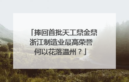 捧回首批天工鼎金鼎 浙江制造业最高荣誉何以花落温州？