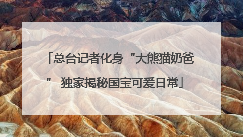 总台记者化身“大熊猫奶爸” 独家揭秘国宝可爱日常