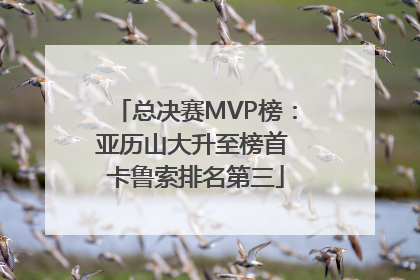 总决赛MVP榜：亚历山大升至榜首 卡鲁索排名第三