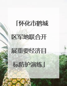 怀化市鹤城区军地联合开展重要经济目标防护演练