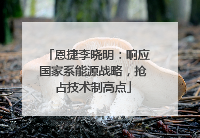 恩捷李晓明：响应国家系能源战略，抢占技术制高点
