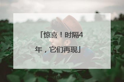 惊喜！时隔4年，它们再现