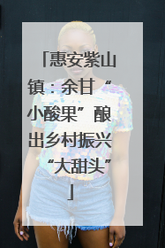 惠安紫山镇：余甘“小酸果”酿出乡村振兴“大甜头”