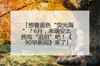 想看蓝色“荧光海”？6月，来瑞安北麂岛“追泪”吧！《90早新闻》来了