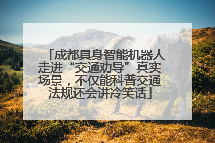 成都具身智能机器人走进“交通劝导”真实场景，不仅能科普交通法规还会讲冷笑话