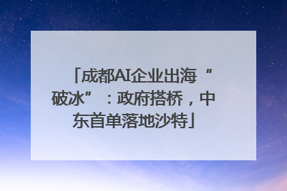 成都AI企业出海“破冰”：政府搭桥，中东首单落地沙特