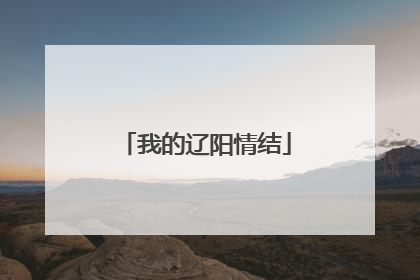 我的辽阳情结