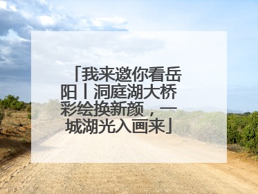 我来邀你看岳阳丨洞庭湖大桥彩绘换新颜，一城湖光入画来