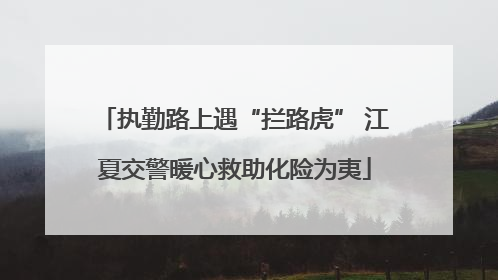 执勤路上遇“拦路虎” 江夏交警暖心救助化险为夷
