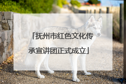 抚州市红色文化传承宣讲团正式成立