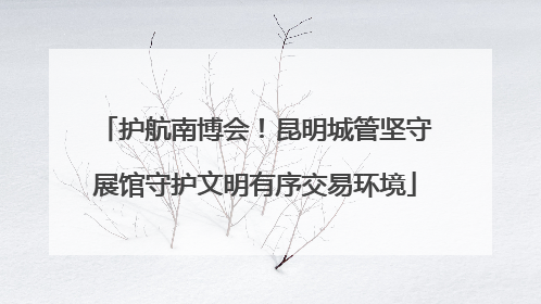 护航南博会！昆明城管坚守展馆守护文明有序交易环境