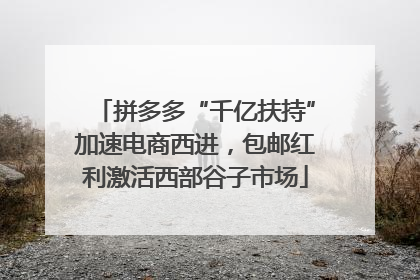 拼多多“千亿扶持”加速电商西进，包邮红利激活西部谷子市场