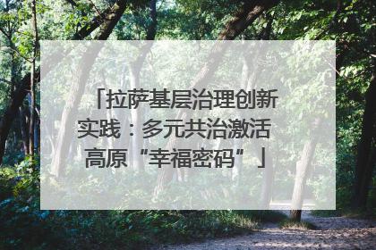 拉萨基层治理创新实践：多元共治激活高原“幸福密码”