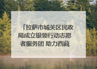 拉萨市城关区民政局成立银领行动志愿者服务团 助力西藏银发经济发展
