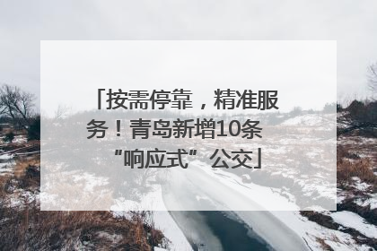 按需停靠，精准服务！青岛新增10条“响应式”公交