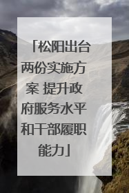 松阳出台两份实施方案 提升政府服务水平和干部履职能力