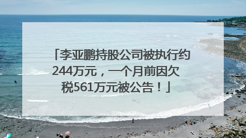 李亚鹏持股公司被执行约244万元，一个月前因欠税561万元被公告！