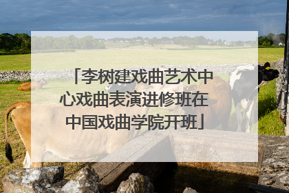 李树建戏曲艺术中心戏曲表演进修班在中国戏曲学院开班