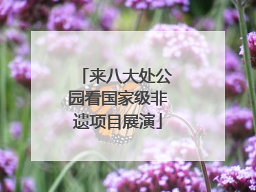 来八大处公园看国家级非遗项目展演