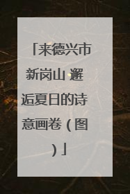来德兴市新岗山 邂逅夏日的诗意画卷（图）