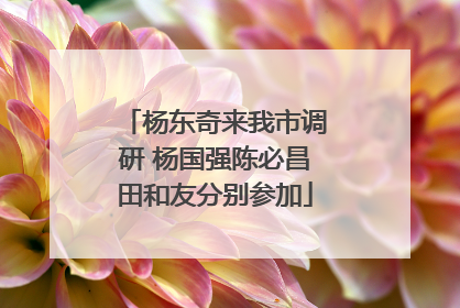 杨东奇来我市调研 杨国强陈必昌田和友分别参加