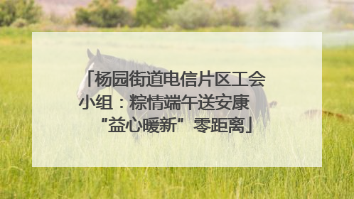 杨园街道电信片区工会小组：粽情端午送安康 “益心暖新”零距离