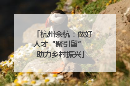 杭州余杭：做好人才“聚引留” 助力乡村振兴