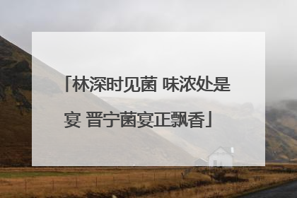 林深时见菌 味浓处是宴 晋宁菌宴正飘香