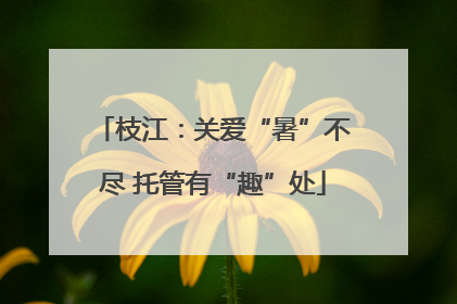 枝江：关爱“暑”不尽 托管有“趣”处