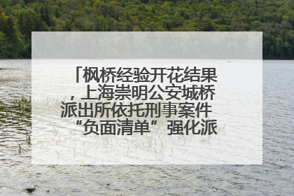 枫桥经验开花结果，上海崇明公安城桥派出所依托刑事案件“负面清单”强化派出所“主防”