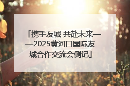 携手友城 共赴未来——2025黄河口国际友城合作交流会侧记